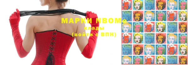 прущие грибы Бронницы