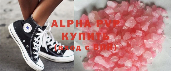 прущие грибы Бронницы