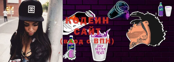 ГАЛЛЮЦИНОГЕННЫЕ ГРИБЫ Богданович