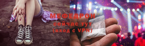 мдпв Бородино