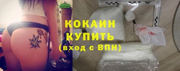 прущие грибы Бронницы