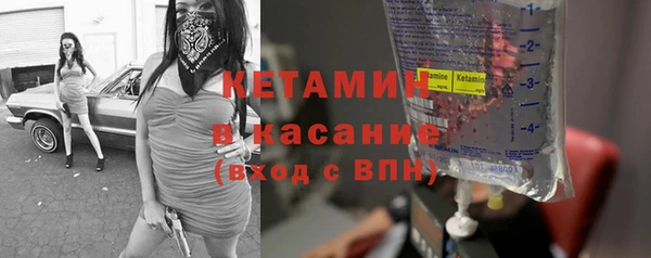 прущие грибы Бронницы