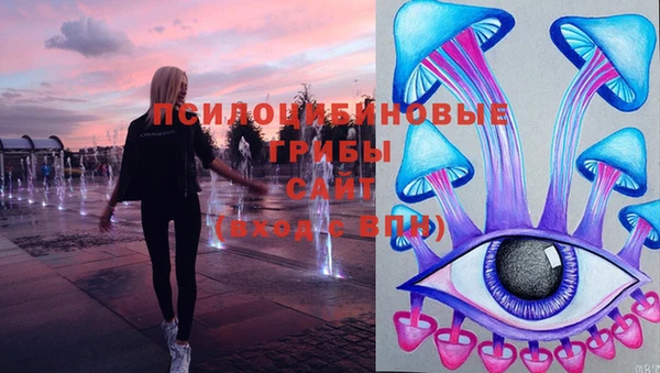 прущие грибы Бронницы