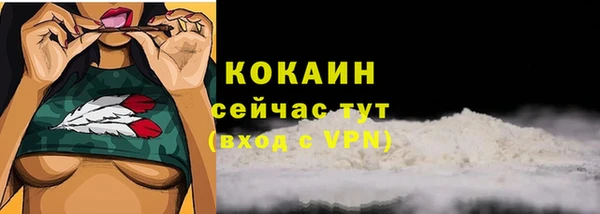 прущие грибы Бронницы