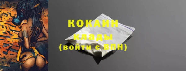 прущие грибы Бронницы