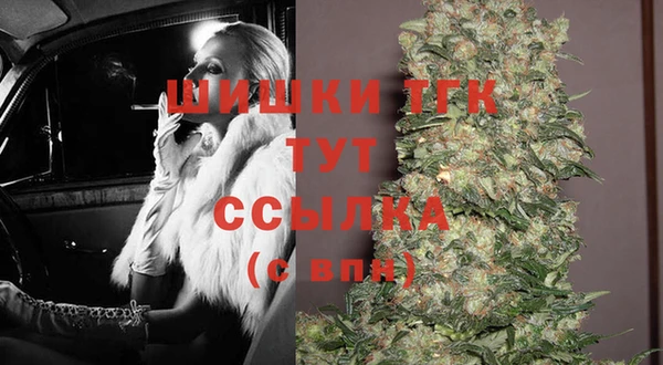 мдпв Бородино