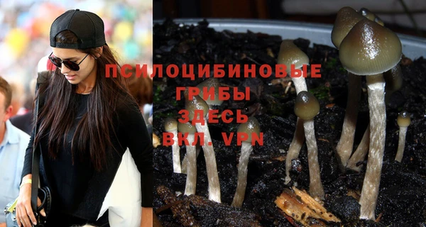 прущие грибы Бронницы
