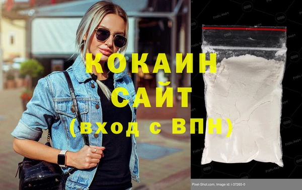 прущие грибы Бронницы
