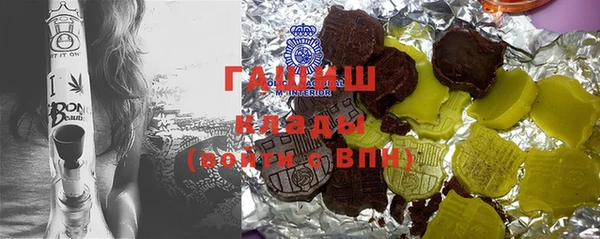 мдпв Бородино