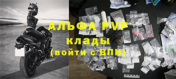 мдпв Бородино