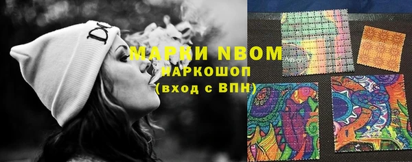 мдпв Бородино