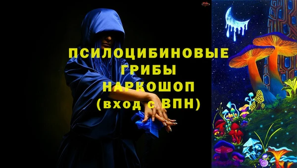 прущие грибы Бронницы
