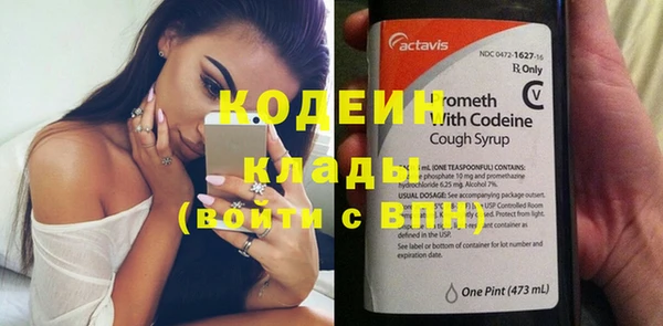 прущие грибы Бронницы