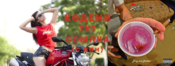 мдпв Бородино